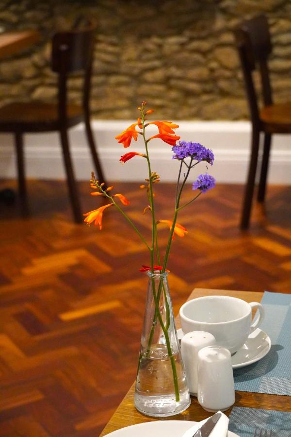 Bed and Breakfast Dingle Garden Townhouse Экстерьер фото A vase of flowers