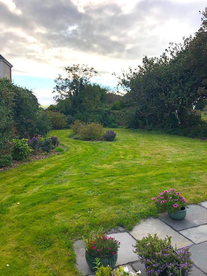 Bed and Breakfast Dingle Garden Townhouse Экстерьер фото The garden of the house