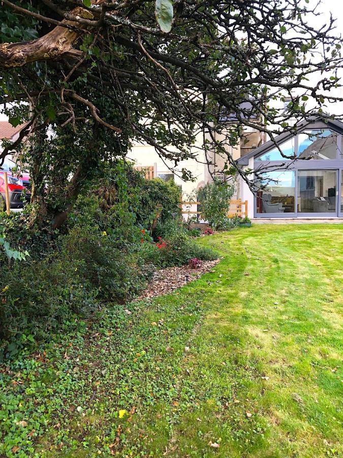 Bed and Breakfast Dingle Garden Townhouse Экстерьер фото The garden of the house