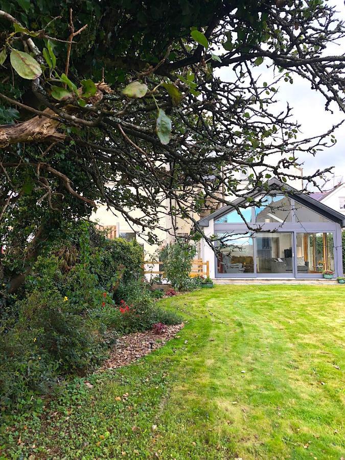 Bed and Breakfast Dingle Garden Townhouse Экстерьер фото The garden of the house